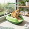 Cat litter box with Durable plastic, light weight and cat attractive design, 58 cm Kitty litter tray for Kitten to Adult indoor cat, High sides, Scoop &amp; Anti-splash, Open top and Mess control, (Green)