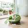 Cat litter box with Durable plastic, light weight and cat attractive design, 37 cm Kitty litter tray for Kitten indoor cats, High sides, Scoop and Anti-splash, Open top and Mess control (Green)