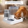 Automatic cat feeder with Water dispenser, Food storage, Stainless steel bowl, and Non-slip base, 2-in-1 Gravity fed food and water bowl set for Indoor cats and Small pets, Easy to clean 25 cm (White)