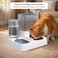 Automatic cat food and water dispenser set, Gravity-fed feeder with Large storage capacity, Stainless steel bowl, and Non-slip base, Suitable for Indoor cats &amp; Small pets, Easy to clean, 25 cm (White)