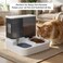 Automatic cat feeder with water dispenser, Food container, Ceramic bowl, and Anti-spill design, Heavy-duty Pet feeding station for Cats &amp; Small dogs, Easy to clean, 30 cm (Grey)
