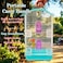 Small bird cage with Perches, Feeders and Swing, Ideal for Parakeets, Lovebirds, and Small Parrots, 62 cm Metal bird cage with Hanging, Pull-out tray, Portable, Durable and Top-Roof Design (Cyan)