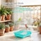 Small bird cage with Perches, Feeders and Swing, Ideal for Parakeets, Lovebirds, and Small Parrots, 62 cm Metal bird cage with Hanging, Pull-out tray, Portable, Durable and Top-Roof Design (Cyan)