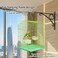 Small Bird Cage with Metal Wire, Ideal for Budgies, Small Parrots, and Parakeets, 45 cm Portable cage for Indoor-Outdoor, Metal Bird cage with Hanging, Bottom tray, Perches, and Feeding bowls (Green)