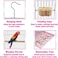 Heavy-Duty Bird Cage with Hanging Hook, Durable Metal Wire, and Portable, 54 cm Parrot Cage with Perch, Feeding Cups, and Removable Tray, Indoor Bird House for Cockatiels and Small Birds (Silver)