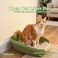 Open cat litter box with Durable plastic, Extra Deep, High sides and Removable Front Gate for Mess-free cleaning, 59 cm Kitty toilet with Anti-leak, Filter pedal, and Scoop, Easy to clean (GREEN)