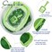 Cat litter tray with Splash Guard, Attached Scoop, &amp; Removable Rim, 37 cm Open Litter Pan for Kitten Indoor cats, Mess Free, &amp; Easy Maintenance, Kitty tray with Durable, and Light weight (Green)