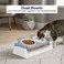 Elevated cat food and water bowl set for Indoor cats &amp; Kittens, Durable plastic pet feeder with Dual bowls, Non-toxic materials, and Anti-slip base, Easy to clean, 33 cm (GREY)