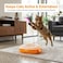 Interactive cat ball track toy with spring feather attachment, self-play cat toy for indoor cats and kittens, enhances physical exercise, mental stimulation, and daily fun (ORANGE)