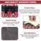Pet bed house for Small to Medium-sized dogs, Enclosed calming shelter with Removable cushion, Portable handle, Durable zipper, and Non-slip base, Easy to clean, 55 cm (Red)