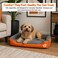 Orthopedic dog bed for Medium dogs, Soft plush pet sofa bed with Raised bolsters design, Soft plush surface, and Non-slip bottom, Comfortable calming puppy cushion, Easy to clean, 80 cm (Orange)