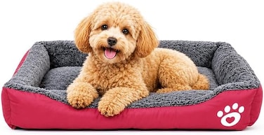 Pet bed with Soft plush, Low entry, Portable and Lightweight, 61 cm Cozy indoor lounger for small Dogs and Cats, Pet cushion with Raised sides, Comfortable, Warm, Washable &amp; Breathable Pet Sofa, (Red)
