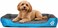 Orthopedic dog bed for Medium dogs, Soft plush pet sofa bed with Raised bolsters design, Soft plush surface, and Non-slip bottom, Comfortable calming puppy cushion, Easy to clean, 80 cm (Blue)