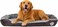Orthopedic dog bed for Large dogs, Washable plush pet bed with raised bolster sides, Soft plush interior, and Non-slip bottom, Comfortable indoor dog sofa bed, Easy to clean, 90 cm (Dark-chocolate)