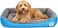 Pet cushion for dogs and Cats, Soft Plush pet bed with Raised sides, Low entry, and Warm, 73 cm sleeping mat with Non-slip, Comfortable, Head &amp; Neck Support, and Breathable &amp; Light weight (Blue)