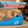 Dog bed with Bolstered sides, Soft plush surface, and Non-slip bottom, Plush Orthopedic pet sofa bed for Small and Medium indoor dogs, Easy to clean, 80 cm (Blue)
