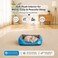 Pet cushion for Puppies and kitten, Soft Plush pet bed with Raised sides, Low entry, and Warm, 53 cm sleeping mat with Non-slip, Comfortable, Head &amp; Neck Support, and Breathable &amp; Light weight (Blue)