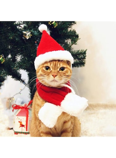 PETLESO Cat Santa Hat with Scarf, Christmas Hats for Cats Small Dog Santa Hat Christmas Costume for Cat Rabbit Puppy Doll Decoration, Red S