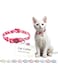 DOCO&reg; LOCO Cat Collar Pattern Printed (DCAT002) Texture - Pink Zebra