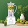 Green Lion Jet Blend 650W Juice Blender &amp; Grinder (1.0L, 2-Speed, BPA-Free)