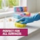 Home Dwell Flower Shape Sponge Set   Pack of 12  Scratch-Free Sponges for Dishes & Home, Odor Resistant, Soft In Warm Water, Firm Cold, Deep Cleaning, Dishwasher Safe, Multi-Use, Functional, Ergonomic