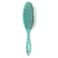 Wet Brush Hair Brush Hello Kitty &amp; Friends   Pompompurin