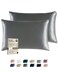 Satin Pillowcase for Hair and Skin, Super Soft and Cooling Similar to Silk Pillow Cases 2 Pack with Envelope Closure, Gift for Women Men(20"x26" Standard Size) (Dark Grey)