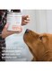 Synergy Labs VFCC Skin Health &amp; Itch Relief Supplement, Skin &amp; Coat Support Chews with Omega-Rich Natural Oils, For Dogs 150g (30 Counts) From Varmacy