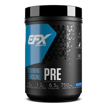 Efx Training Ground Pre, Blueberry, 500 Gm