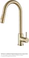 First pro Pull Out Kitchen Sink Mixer Tap High Arc Swivel Spout 1 Hole Bathroom Sink Faucet Dual Spray Modes Solid Brass Brushed Gold 360&deg; Rotatable