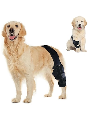 Dog Knee Brace for ACL, Knee Cap Dislocation, Arthritis - Joint Pain, Muscle Sore - Better Recovery - Reduces Pain and Inflammation -Adjustable Dog Rear Leg Braces (Black, M)
