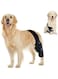Dog Knee Brace for ACL, Knee Cap Dislocation, Arthritis - Joint Pain, Muscle Sore - Better Recovery - Reduces Pain and Inflammation -Adjustable Dog Rear Leg Braces (Black, M)