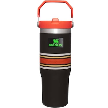 STANLEY IceFlow 2.0 Flip Straw Tumbler with Handle 30 oz   Twist On Lid and Flip Up Straw   Leak Resistant Water Bottle   Insulated Stainless Steel   BPA-Free