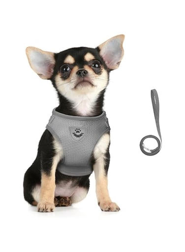 FEimaX Dog Harness and Leash Set for Walking, Soft Mesh Adjustable Easy Control Lightweight Cat Vest Harnesses with Reflective Strips, Escape Proof Small Dogs Cats Vests (Grey, X-Large)