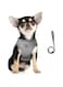 FEimaX Dog Harness and Leash Set for Walking, Soft Mesh Adjustable Easy Control Lightweight Cat Vest Harnesses with Reflective Strips, Escape Proof Small Dogs Cats Vests (Grey, X-Large)