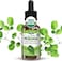 PURA VIDA MORINGA Organic Leaf Extract Liquid Drops - USDA Organic Certified - Highly Purified, Bioavailable &amp; Faster Absorption Than Powder or Capsules - Single Origin Oleifera Leaves Extract