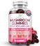 World's First Mushroom Complex Gummies - 10x Mushroom Supplement w Lions Mane (90 Chews 2500mg/serving) Nootropic Brain Supplement, Immune Support &amp; Stress Relief - Replace Pills &amp; Capsules