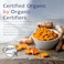 Organic Turmeric Curcumin with BioPerine, 95% Standardized Curcuminoids, 1960mg per Serving, 120 Veggie Caps, Non-GMO,Gluten Dairy &amp; Soy Free, Anti-Inflammatory,Pain Relief &amp; Joint Support