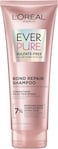L&rsquo;Or&eacute;al Paris EverPure Bonding Shampoo for Color-Treated Hair, 6.8 Ounce
