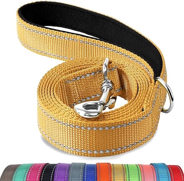 Joytale Padded Handle Dog Lead,Double-Sided Reflective Nylon Dogs Leads for Training,Walking Leash for Small, Medium Dogs, 1.8m &times; 2cm, Khaki