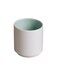 Tajimi Short Tumbler, Feijoa Green - 240ml