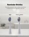 MySmile DY156 Electric Toothbrush Replacement Heads, Compatible for MySmile DY156 Sonic Toothbrush, 3 Packs (Gray)