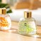 AUTO FAMILY Luxury Car Air Freshener Diffuser   Long-Lasting Auto Fragrance Spray for a Fresh, Elegant Drive (AF2- Green, Bluebell)