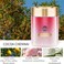 AUTO FAMILY Luxury Car Air Freshener Diffuser   Long-Lasting Auto Fragrance Spray for a Fresh, Elegant Drive (AF9- Rose, White- Encounter)