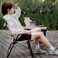 AUTO FAMILY Portable Durable Folding Camping Chair Beige, Lightweight Folding Chair for Outdoor Enthusiasts, Folding Chair for Every Adventure, Folding Camping Chair for Travel and Leisure (Beige)