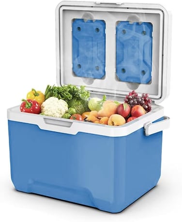 AUTO FAMILY Large Insulated Cooler Box 12L &ndash; Portable Ice Chest for Camping, Picnics, and Travel   Keep Food &amp; Drinks Cold for Hours (12L)