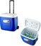 AUTO FAMILY Large Insulated Cooler Box 28L &ndash; Portable Ice Chest for Camping, Picnics, and Travel   Keep Food &amp; Drinks Cold for Hours (28L)