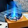AUTO FAMILY Portable Camping Gas Stove with Carrying Case Beige &ndash; Single Burner Outdoor Camping Stove for Hiking, Tailgating, Emergency &amp; Travel Cooking (Beige)