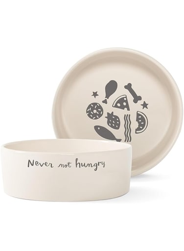 PetShop by Fringe Studio Never Not Hungry Dog Bowl - WHITE/6.5X2.5