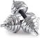 ULTIMAX 30 Kg Adjustable Chrome Dumbbell Set   Convertible Dumbbells &amp; Barbell with Connector for Home Gym &amp; Office Fitness Workouts - Silver